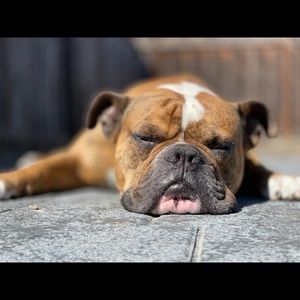 Meet your Posher, Ron